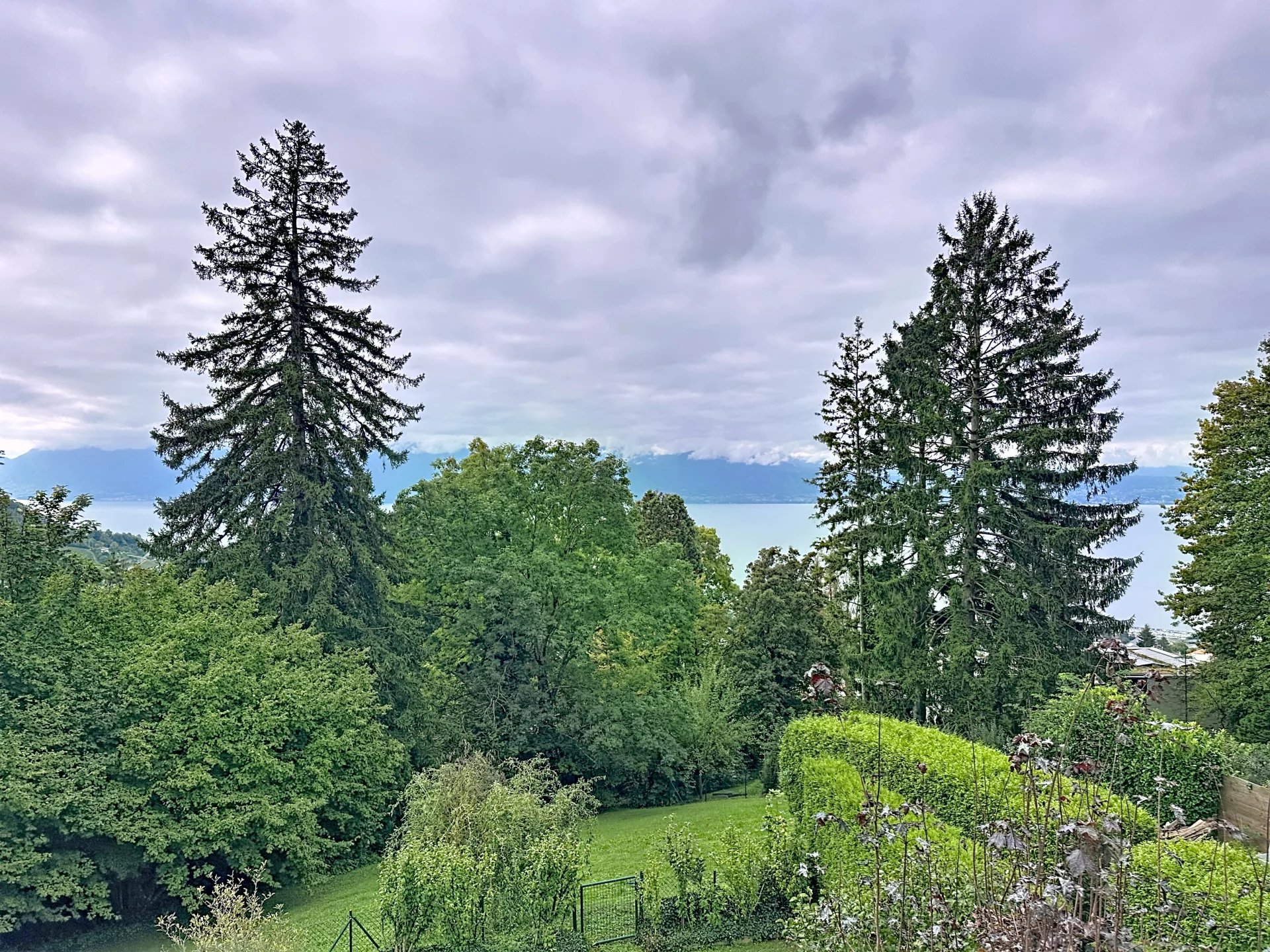 01e3eb8530ec8fe28a522b76d9f07ba0_25a9014fbd_1920-original-45-2